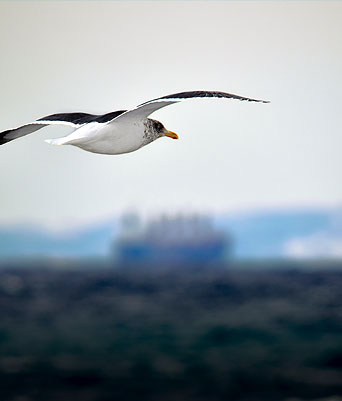 Müther-Bestattungen e.K.